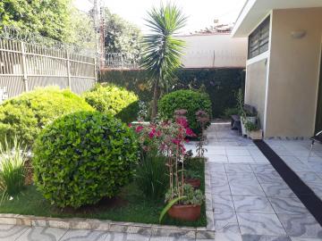 Comprar Casa / Padr&atilde;o em S&atilde;o Jos&eacute; do Rio Preto R$ 580.000,00 - Foto 4