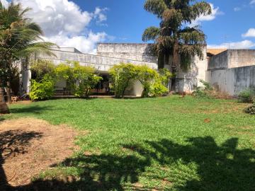 Alugar Comercial / Casa Comercial em S&atilde;o Jos&eacute; do Rio Preto R$ 15.378,00 - Foto 50