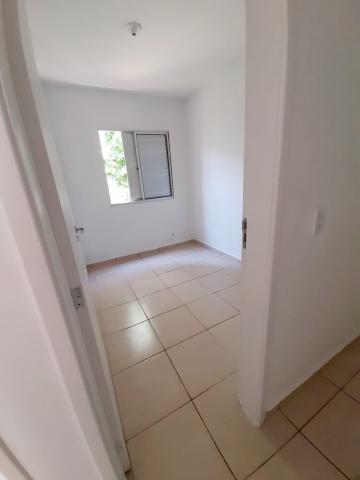 Comprar Apartamento / Padr&atilde;o em S&atilde;o Jos&eacute; do Rio Preto R$ 300.000,00 - Foto 5