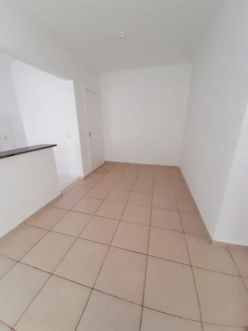 Alugar Apartamento / Padr&atilde;o em S&atilde;o Jos&eacute; do Rio Preto. apenas R$ 300.000,00