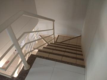 Alugar Casa / Condom&iacute;nio em S&atilde;o Jos&eacute; do Rio Preto R$ 1.900,00 - Foto 15