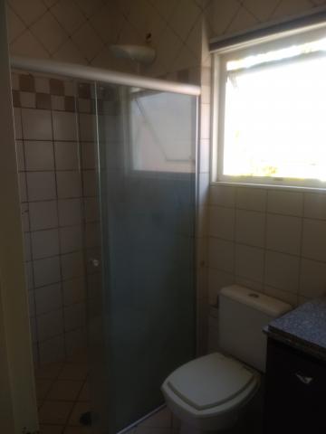 Alugar Casa / Condom&iacute;nio em S&atilde;o Jos&eacute; do Rio Preto R$ 1.900,00 - Foto 16