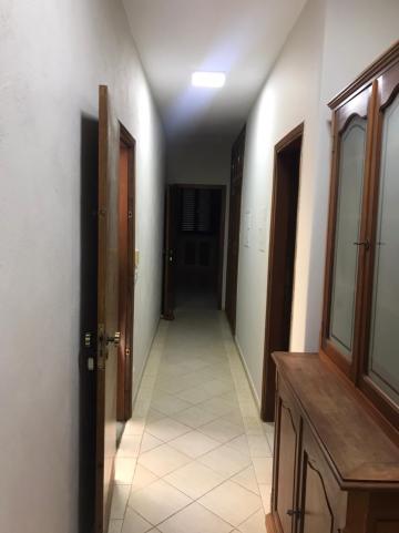 Alugar Casa / Sobrado em S&atilde;o Jos&eacute; do Rio Preto R$ 4.800,00 - Foto 50
