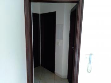 Alugar Casa / Padr&atilde;o em S&atilde;o Jos&eacute; do Rio Preto R$ 1.500,00 - Foto 13