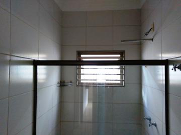 Alugar Casa / Padr&atilde;o em S&atilde;o Jos&eacute; do Rio Preto R$ 1.500,00 - Foto 15