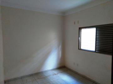 Alugar Casa / Padr&atilde;o em S&atilde;o Jos&eacute; do Rio Preto R$ 1.500,00 - Foto 17