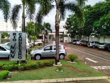 Alugar Apartamento / Padr&atilde;o em S&atilde;o Jos&eacute; do Rio Preto. apenas R$ 800,00