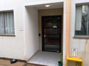 Alugar Apartamento / Padr&atilde;o em S&atilde;o Jos&eacute; do Rio Preto R$ 800,00 - Foto 3