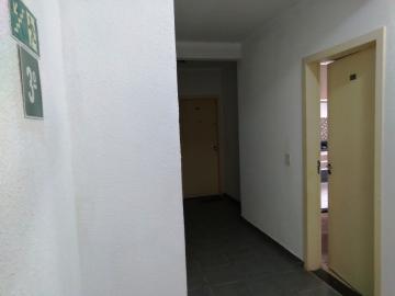 Alugar Apartamento / Padr&atilde;o em S&atilde;o Jos&eacute; do Rio Preto R$ 800,00 - Foto 4