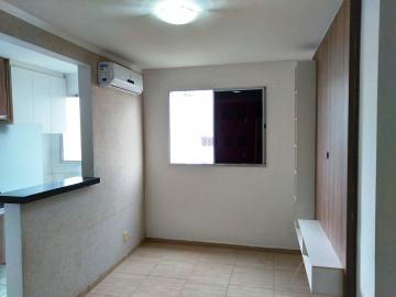 Alugar Apartamento / Padr&atilde;o em S&atilde;o Jos&eacute; do Rio Preto R$ 800,00 - Foto 6