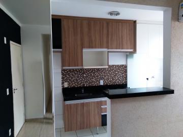 Alugar Apartamento / Padr&atilde;o em S&atilde;o Jos&eacute; do Rio Preto R$ 800,00 - Foto 8
