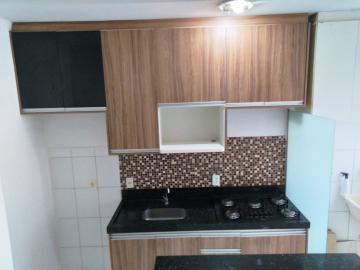 Alugar Apartamento / Padr&atilde;o em S&atilde;o Jos&eacute; do Rio Preto R$ 800,00 - Foto 9