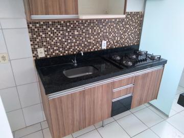 Alugar Apartamento / Padr&atilde;o em S&atilde;o Jos&eacute; do Rio Preto R$ 800,00 - Foto 10
