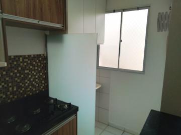 Alugar Apartamento / Padr&atilde;o em S&atilde;o Jos&eacute; do Rio Preto R$ 800,00 - Foto 11