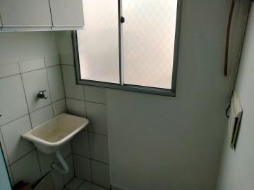 Alugar Apartamento / Padr&atilde;o em S&atilde;o Jos&eacute; do Rio Preto R$ 800,00 - Foto 12