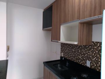 Alugar Apartamento / Padr&atilde;o em S&atilde;o Jos&eacute; do Rio Preto R$ 800,00 - Foto 13
