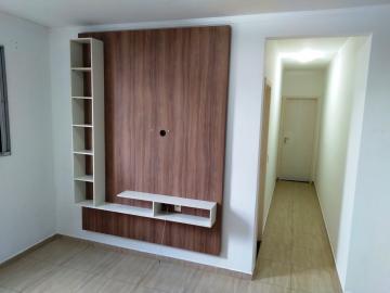 Alugar Apartamento / Padr&atilde;o em S&atilde;o Jos&eacute; do Rio Preto R$ 800,00 - Foto 14