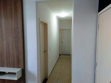 Alugar Apartamento / Padr&atilde;o em S&atilde;o Jos&eacute; do Rio Preto R$ 800,00 - Foto 15
