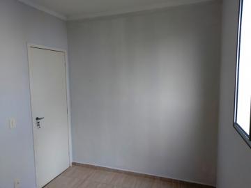 Alugar Apartamento / Padr&atilde;o em S&atilde;o Jos&eacute; do Rio Preto R$ 800,00 - Foto 17