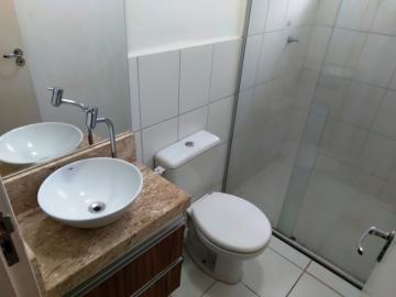 Alugar Apartamento / Padr&atilde;o em S&atilde;o Jos&eacute; do Rio Preto R$ 800,00 - Foto 18