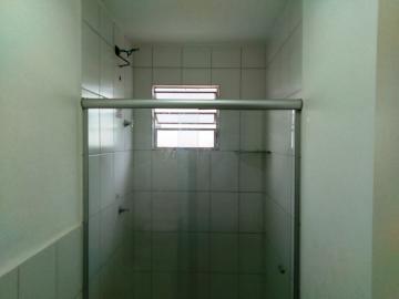 Alugar Apartamento / Padr&atilde;o em S&atilde;o Jos&eacute; do Rio Preto R$ 800,00 - Foto 19