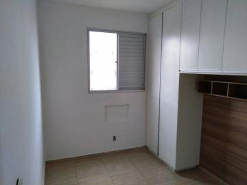 Alugar Apartamento / Padr&atilde;o em S&atilde;o Jos&eacute; do Rio Preto R$ 800,00 - Foto 21