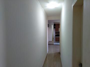 Alugar Apartamento / Padr&atilde;o em S&atilde;o Jos&eacute; do Rio Preto R$ 800,00 - Foto 24