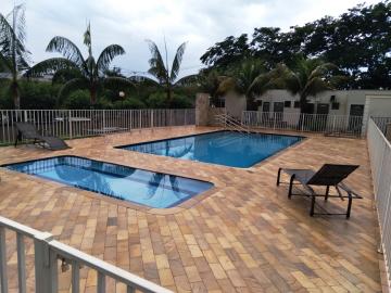 Alugar Apartamento / Padr&atilde;o em S&atilde;o Jos&eacute; do Rio Preto R$ 800,00 - Foto 30