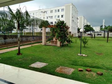 Alugar Apartamento / Padr&atilde;o em S&atilde;o Jos&eacute; do Rio Preto R$ 800,00 - Foto 33