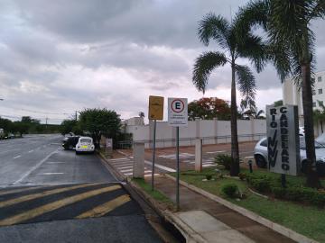 Alugar Apartamento / Padr&atilde;o em S&atilde;o Jos&eacute; do Rio Preto R$ 800,00 - Foto 35