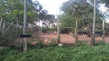 Comprar Rural / Ch&aacute;cara em S&atilde;o Jos&eacute; do Rio Preto R$ 1.600.000,00 - Foto 11