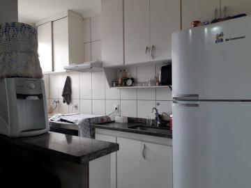 Comprar Apartamento / Padr&atilde;o em S&atilde;o Jos&eacute; do Rio Preto R$ 260.000,00 - Foto 6