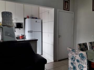 Comprar Apartamento / Padr&atilde;o em S&atilde;o Jos&eacute; do Rio Preto R$ 260.000,00 - Foto 5