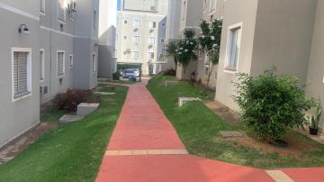 Comprar Apartamento / Padr&atilde;o em S&atilde;o Jos&eacute; do Rio Preto R$ 215.000,00 - Foto 9