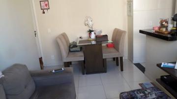 Apartamento / Padr&atilde;o em S&atilde;o Jos&eacute; do Rio Preto 