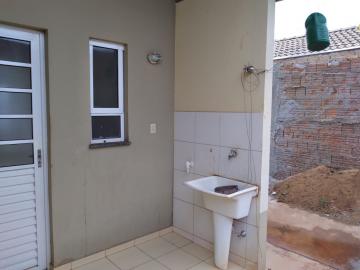 Alugar Casa / Padr&atilde;o em S&atilde;o Jos&eacute; do Rio Preto R$ 650,00 - Foto 5