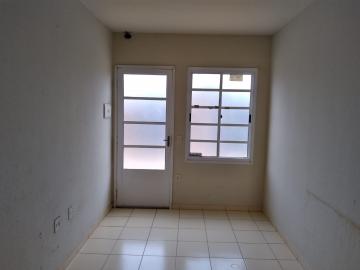 Alugar Casa / Padr&atilde;o em S&atilde;o Jos&eacute; do Rio Preto R$ 650,00 - Foto 3