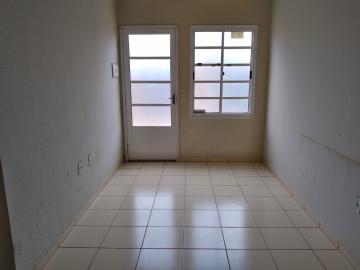 Alugar Casa / Padr&atilde;o em S&atilde;o Jos&eacute; do Rio Preto R$ 650,00 - Foto 2