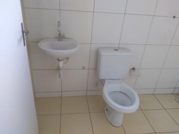 Alugar Casa / Padr&atilde;o em S&atilde;o Jos&eacute; do Rio Preto R$ 650,00 - Foto 6