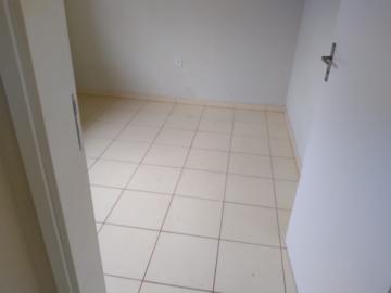Alugar Casa / Padr&atilde;o em S&atilde;o Jos&eacute; do Rio Preto R$ 650,00 - Foto 16