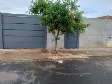 Alugar Casa / Padr&atilde;o em S&atilde;o Jos&eacute; do Rio Preto R$ 650,00 - Foto 17