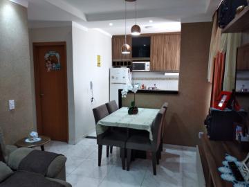 Alugar Apartamento / Padr&atilde;o em S&atilde;o Jos&eacute; do Rio Preto. apenas R$ 215.000,00