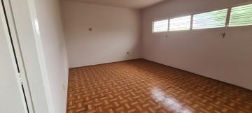 Alugar Comercial / Casa Comercial em S&atilde;o Jos&eacute; do Rio Preto R$ 2.900,00 - Foto 3