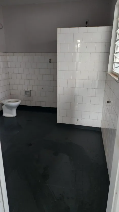 Alugar Comercial / Casa Comercial em S&atilde;o Jos&eacute; do Rio Preto R$ 2.900,00 - Foto 14