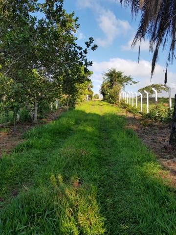 Comprar Rural / S&iacute;tio em Bady Bassitt R$ 1.700.000,00 - Foto 12