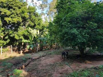 Comprar Rural / S&iacute;tio em Bady Bassitt R$ 1.700.000,00 - Foto 27