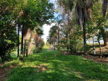 Comprar Rural / S&iacute;tio em Bady Bassitt R$ 1.700.000,00 - Foto 30