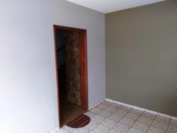 Alugar Casa / Padr&atilde;o em S&atilde;o Jos&eacute; do Rio Preto R$ 5.500,00 - Foto 4