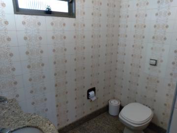 Alugar Casa / Padr&atilde;o em S&atilde;o Jos&eacute; do Rio Preto R$ 5.500,00 - Foto 13