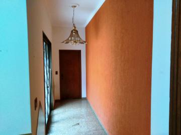 Alugar Casa / Padr&atilde;o em S&atilde;o Jos&eacute; do Rio Preto R$ 5.500,00 - Foto 15